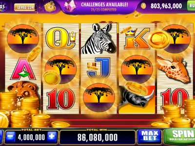 Megapari Bet Dashboard